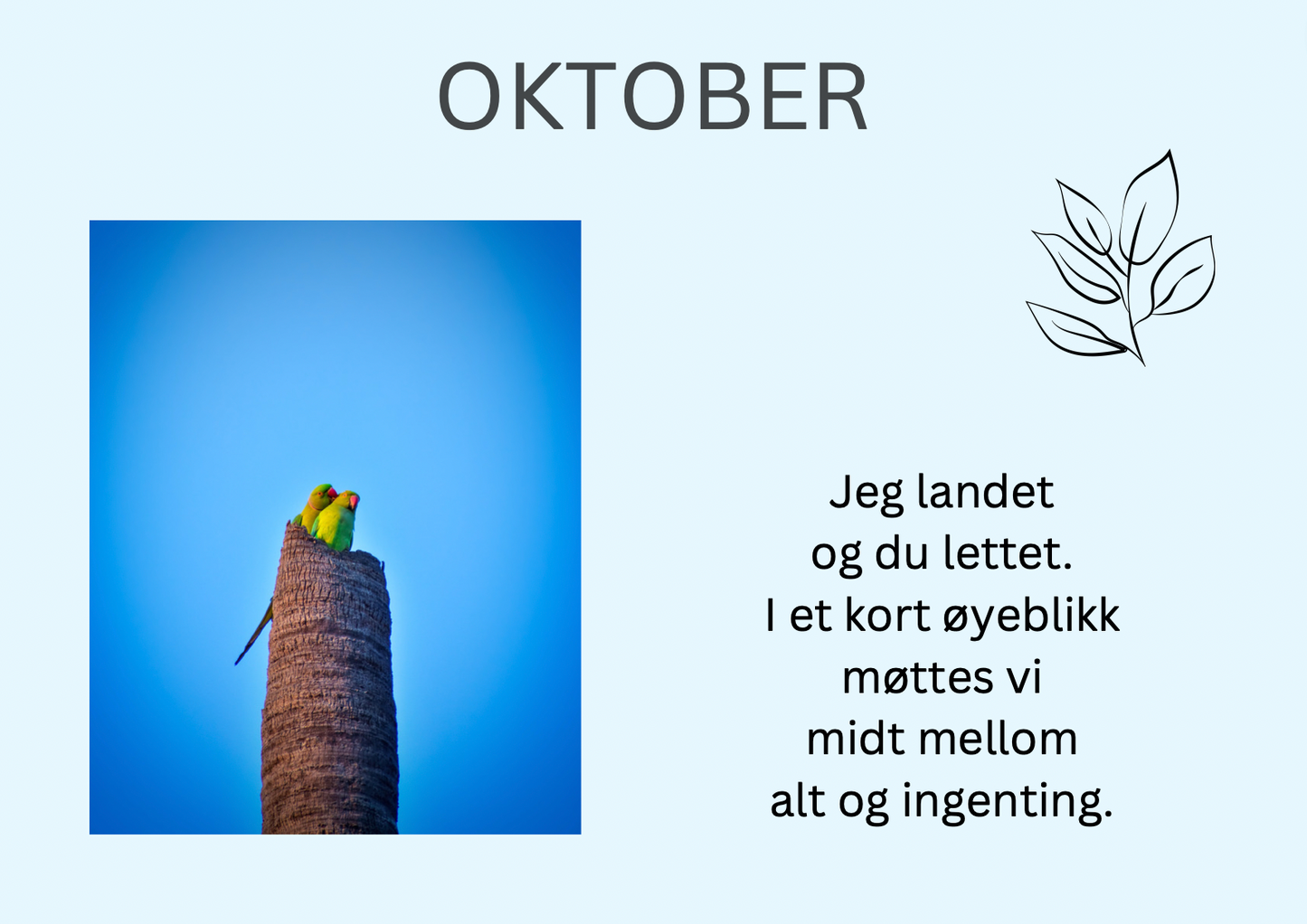 Månedsstråler