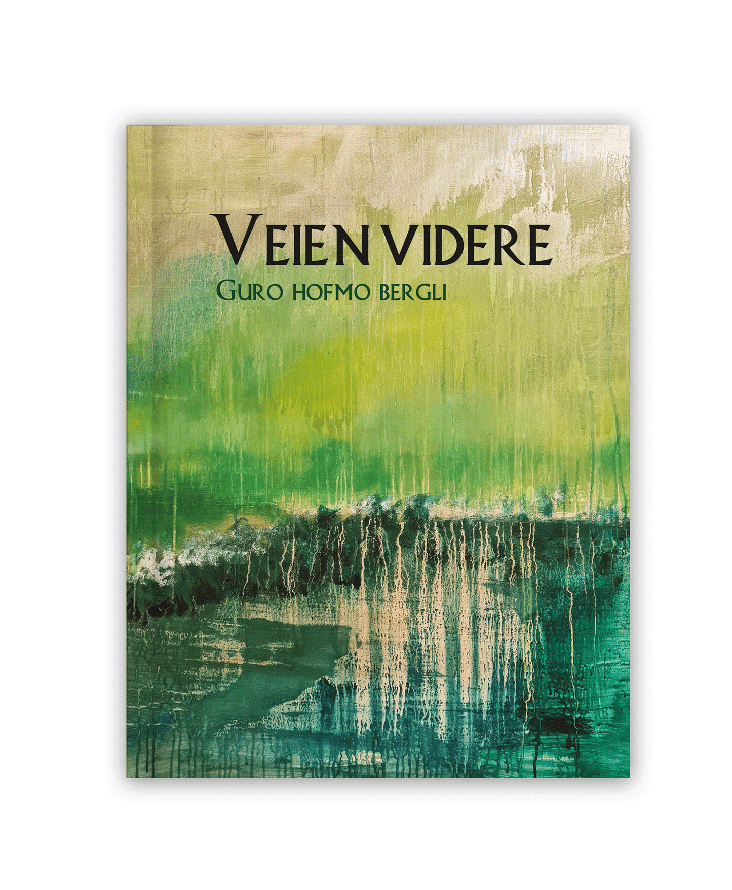 Veien videre